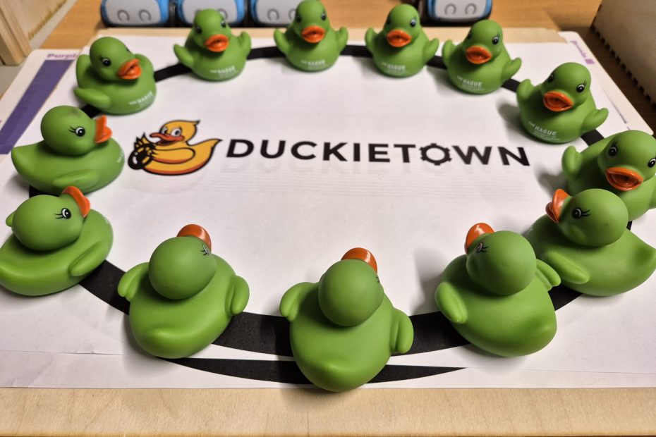 Duckietown